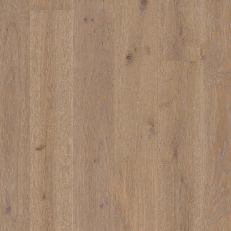 oak animoso live pure-plank