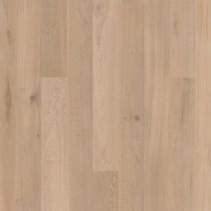 oak coral animoso-plank