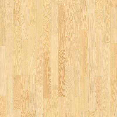 Ash andante live natural